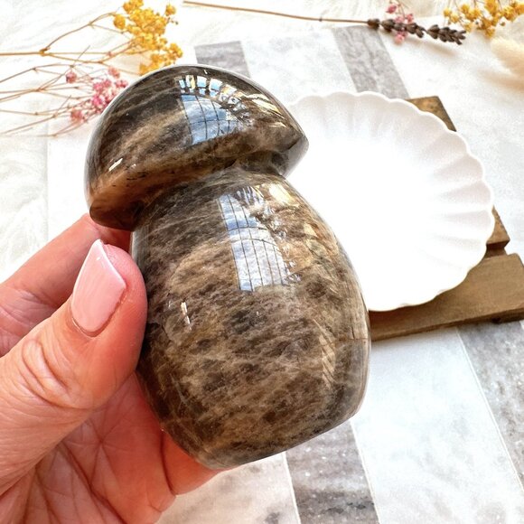 Gorgeous Black Moonstone Mushroom Carving - Picture 5 of 8